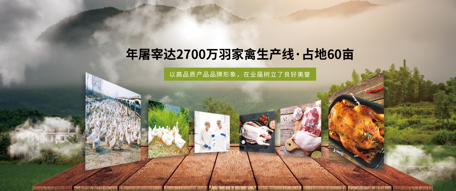 丽佳农牧-年屠宰2700万羽家禽生产线，占地60亩